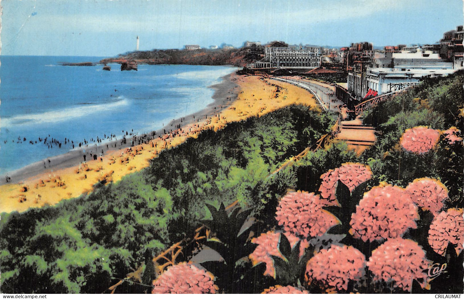 64-BIARRITZ-N°LP5130-C/0109 - Biarritz