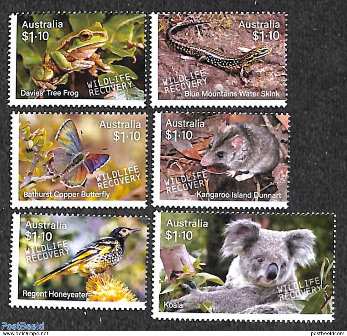 Australia 2020 Wildlife Recovery 6v, Mint NH, Nature - Animals (others & Mixed) - Birds - Butterflies - Frogs & Toads .. - Nuevos