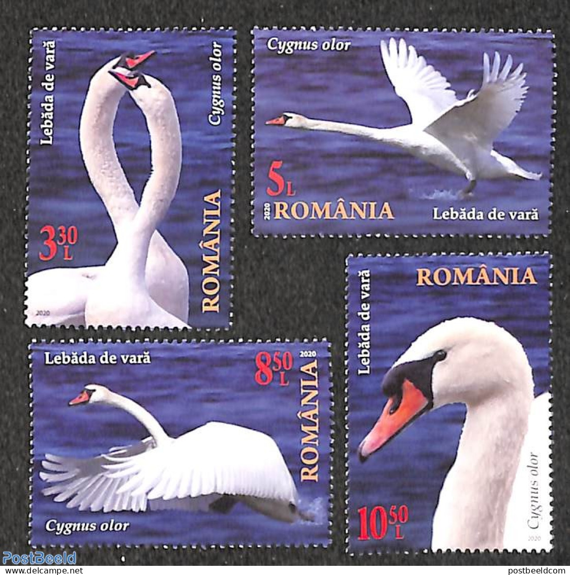 Romania 2020 Swans 4v, Mint NH, Nature - Birds - Ongebruikt