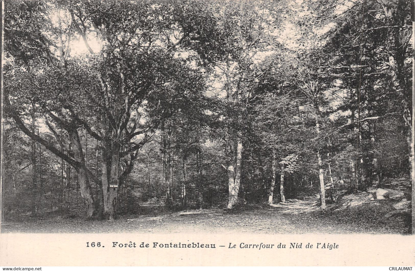 77-FONTAINEBLEAU LA FORET-N°LP5130-B/0203 - Fontainebleau