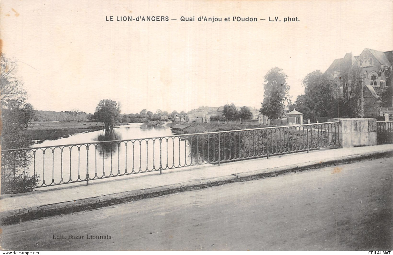 49-LE LION D ANGERS-N°LP5130-A/0389 - Autres & Non Classés