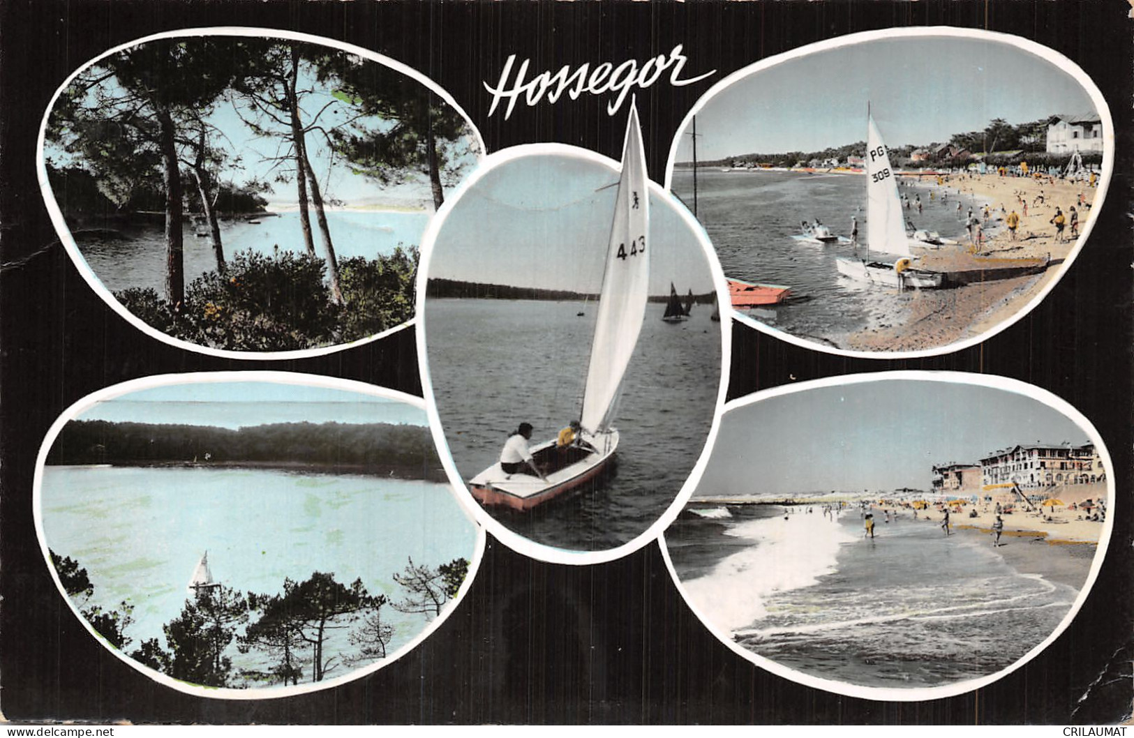 40-HOSSEGOR-N°LP5130-A/0123 - Hossegor
