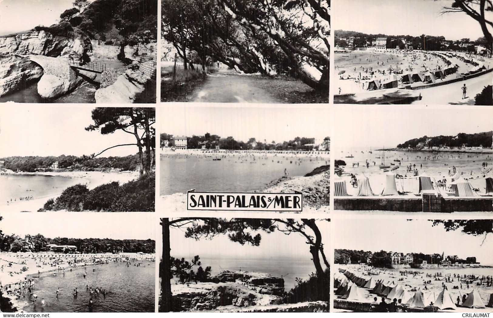 17-SAINT PALAIS SUR MER-N°LP5130-A/0111 - Saint-Palais-sur-Mer