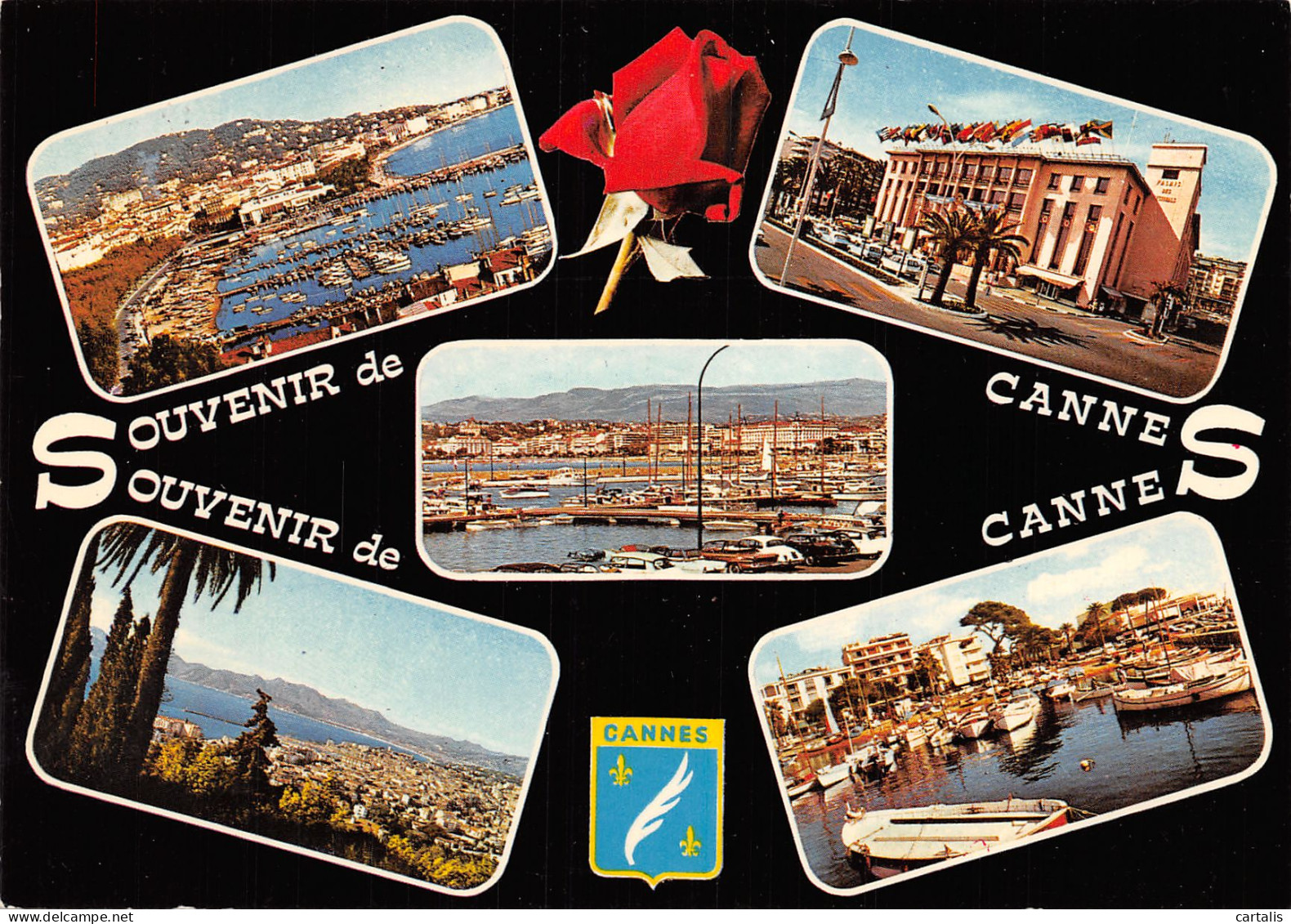 06-CANNES-N°4181-A/0381 - Cannes