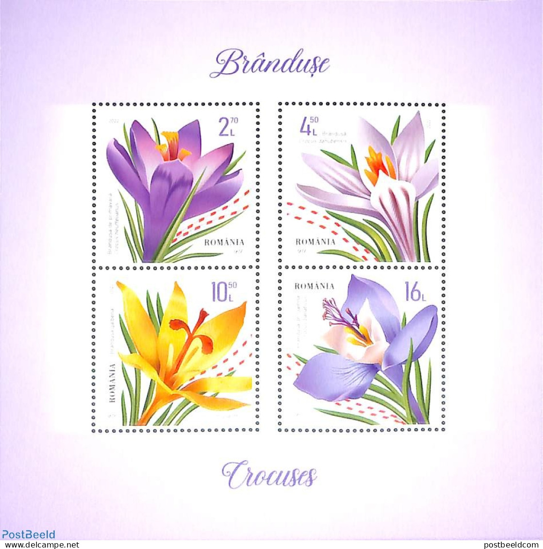 Romania 2022 Crocuses S/s, Mint NH, Nature - Flowers & Plants - Nuovi