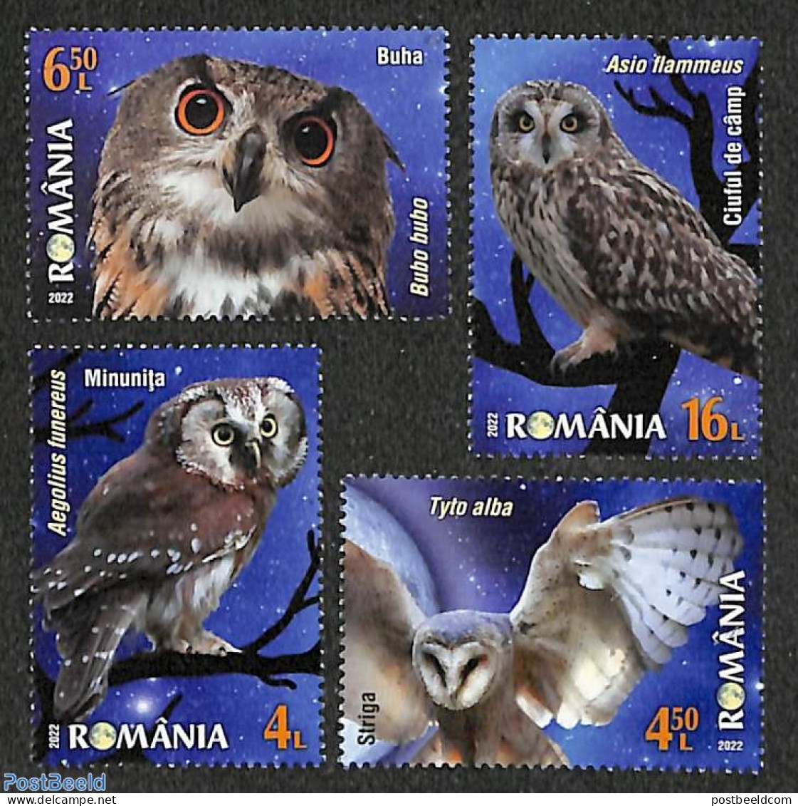 Romania 2022 Owls 4v, Mint NH, Nature - Birds - Birds Of Prey - Owls - Neufs