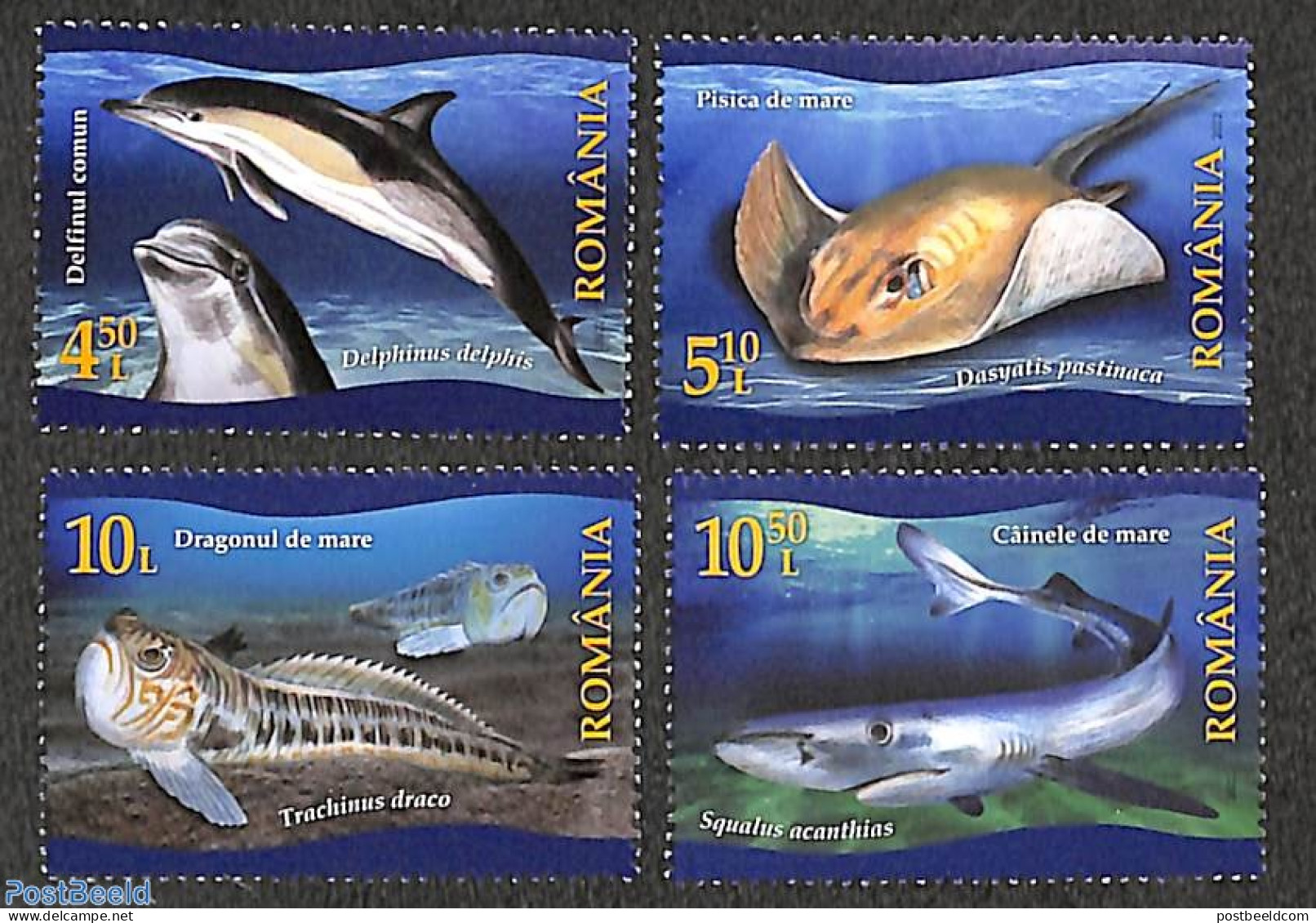 Romania 2022 Protected Fauna Of The Black Sea 4v, Mint NH, Nature - Fish - Sea Mammals - Ungebraucht
