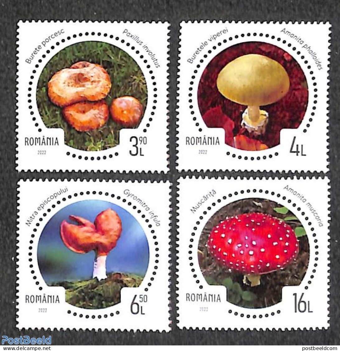 Romania 2022 Mushrooms 4v, Mint NH, Nature - Mushrooms - Ungebraucht