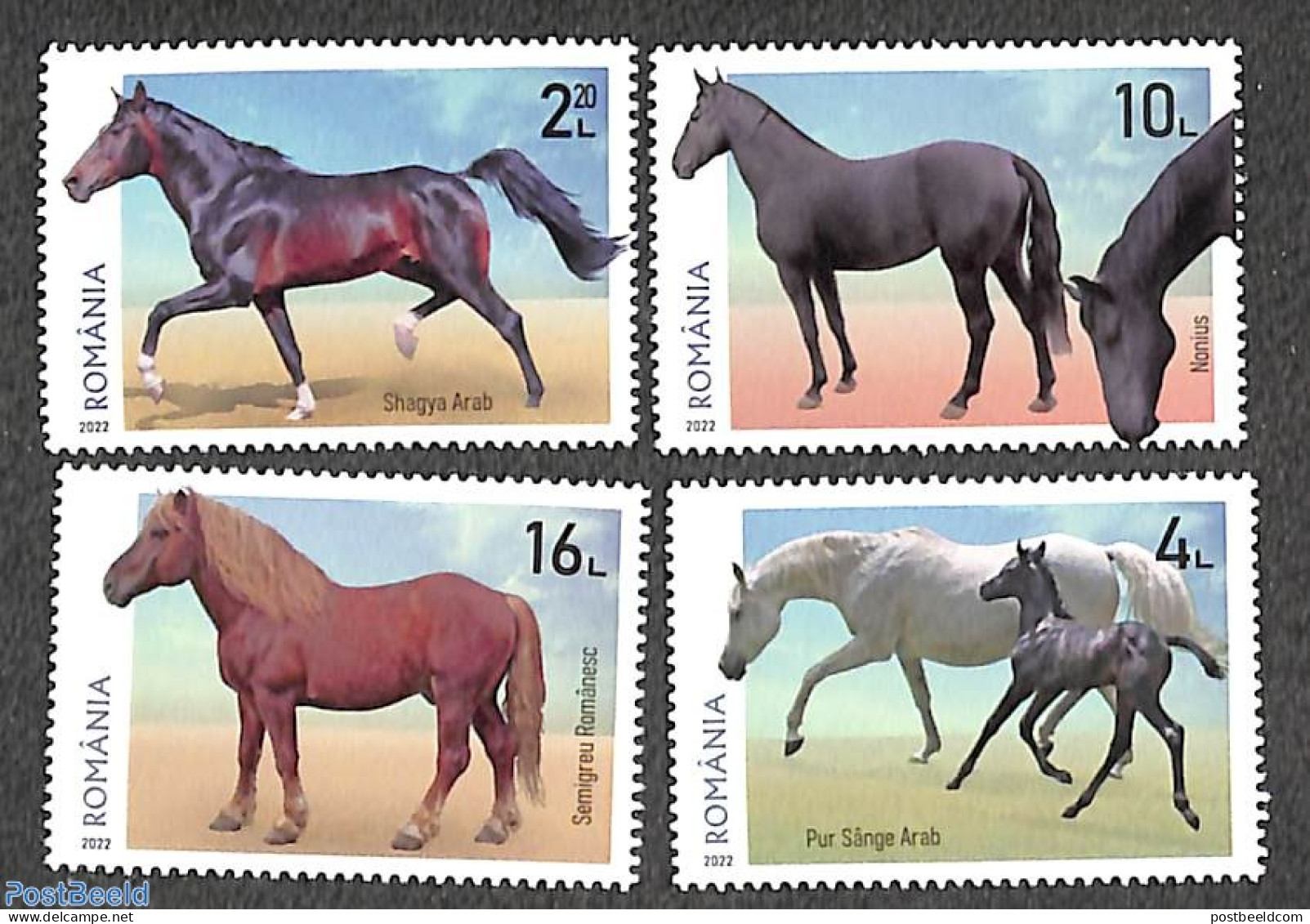 Romania 2022 Horses 4v, Mint NH, Nature - Horses - Ungebraucht