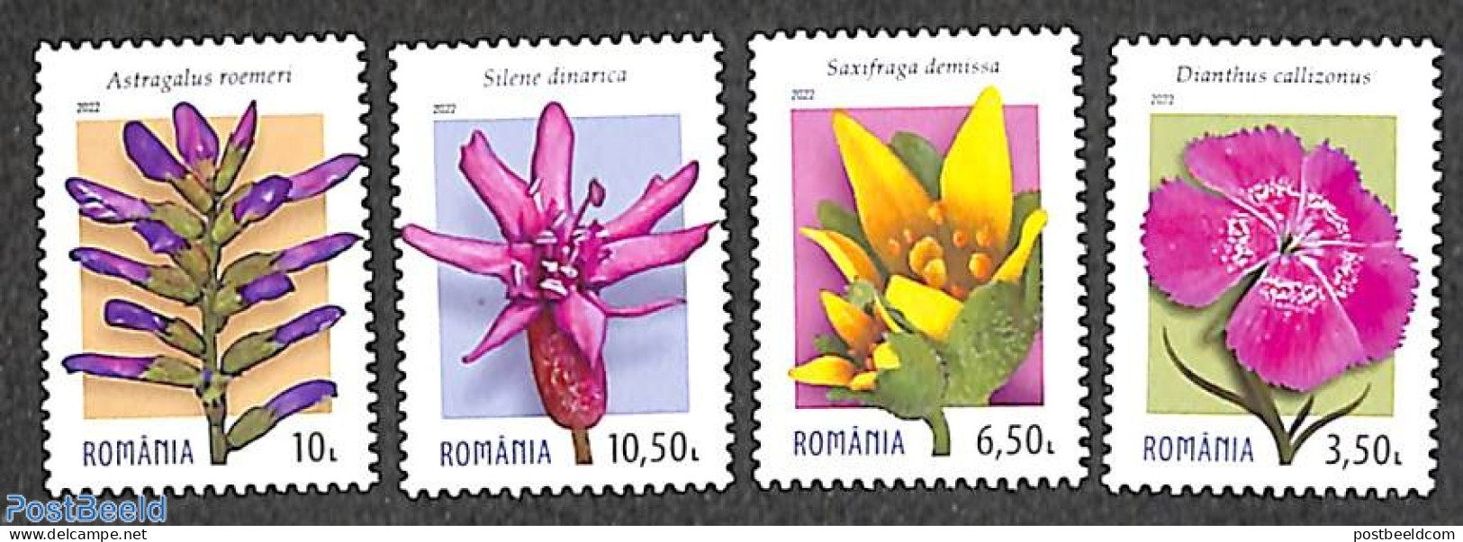 Romania 2022 Carpathian Flowers 4v, Mint NH, Nature - Flowers & Plants - Neufs