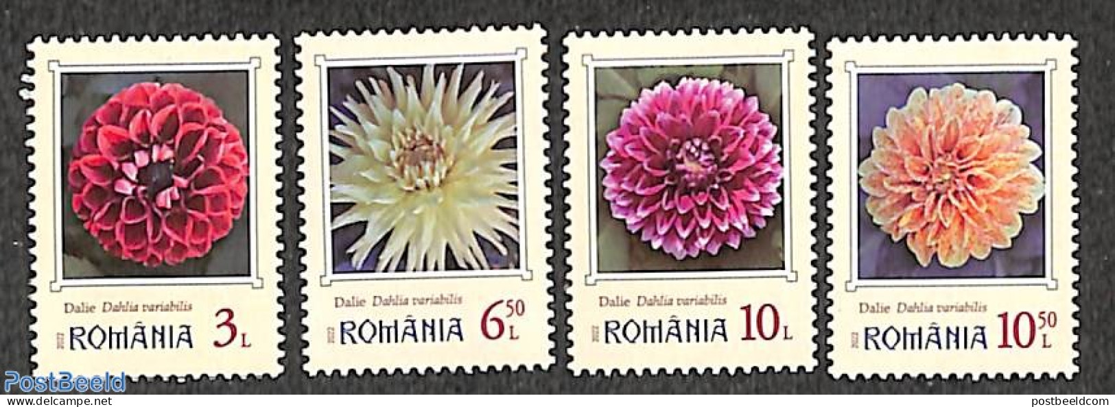 Romania 2022 Dahlia's 4v, Mint NH, Nature - Flowers & Plants - Nuevos