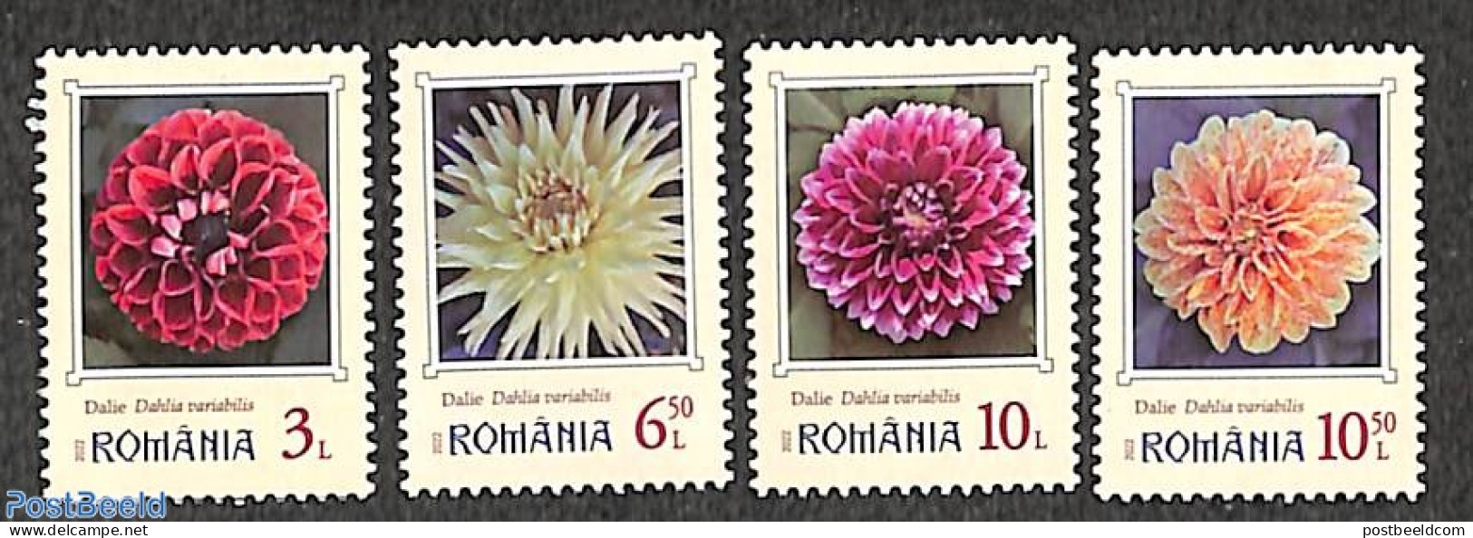 Romania 2022 Dahlia's 4v, Mint NH, Nature - Flowers & Plants - Nuovi