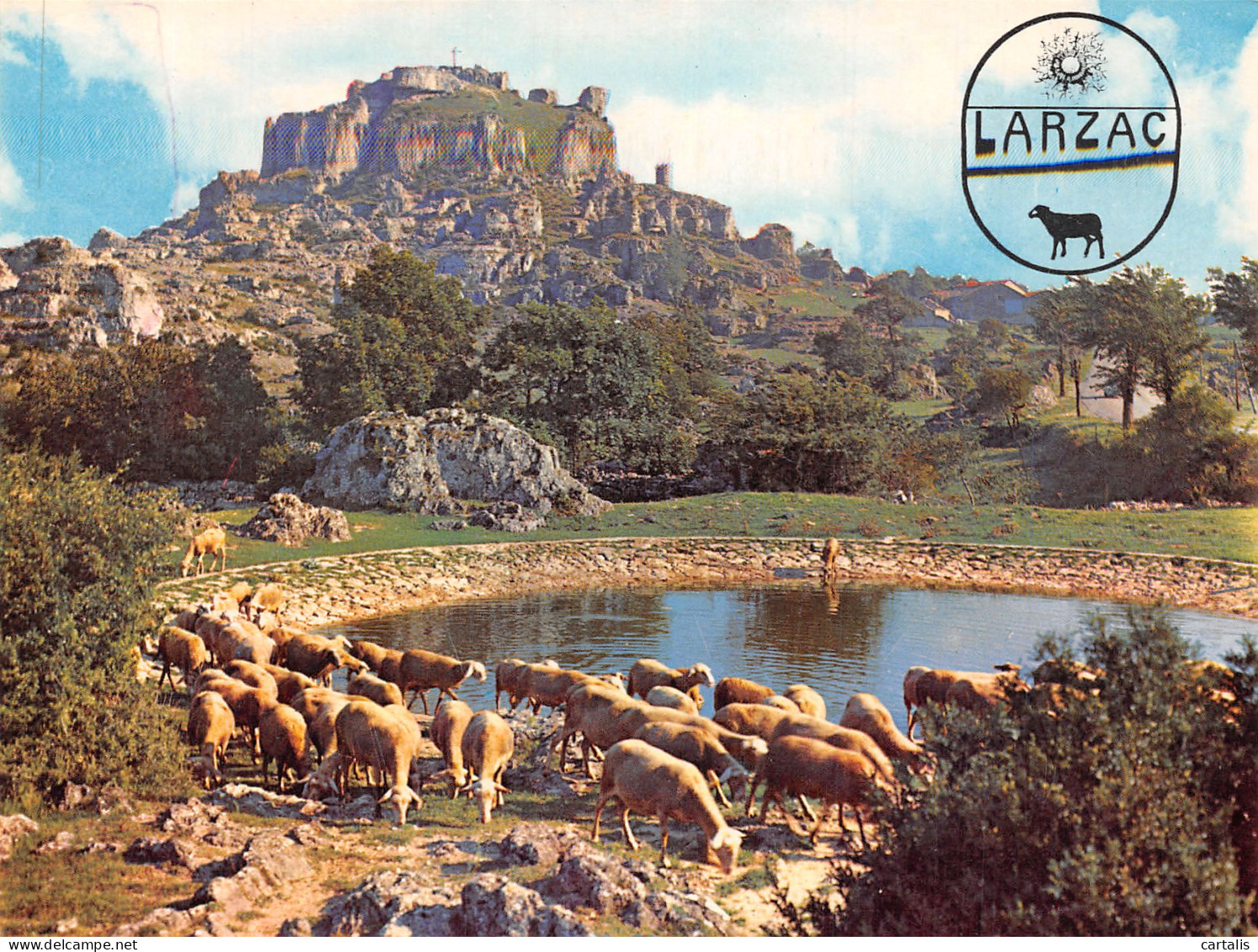 12-CAUSSE DU LARZAC LE CAYLAR-N°4180-D/0315 - Andere & Zonder Classificatie