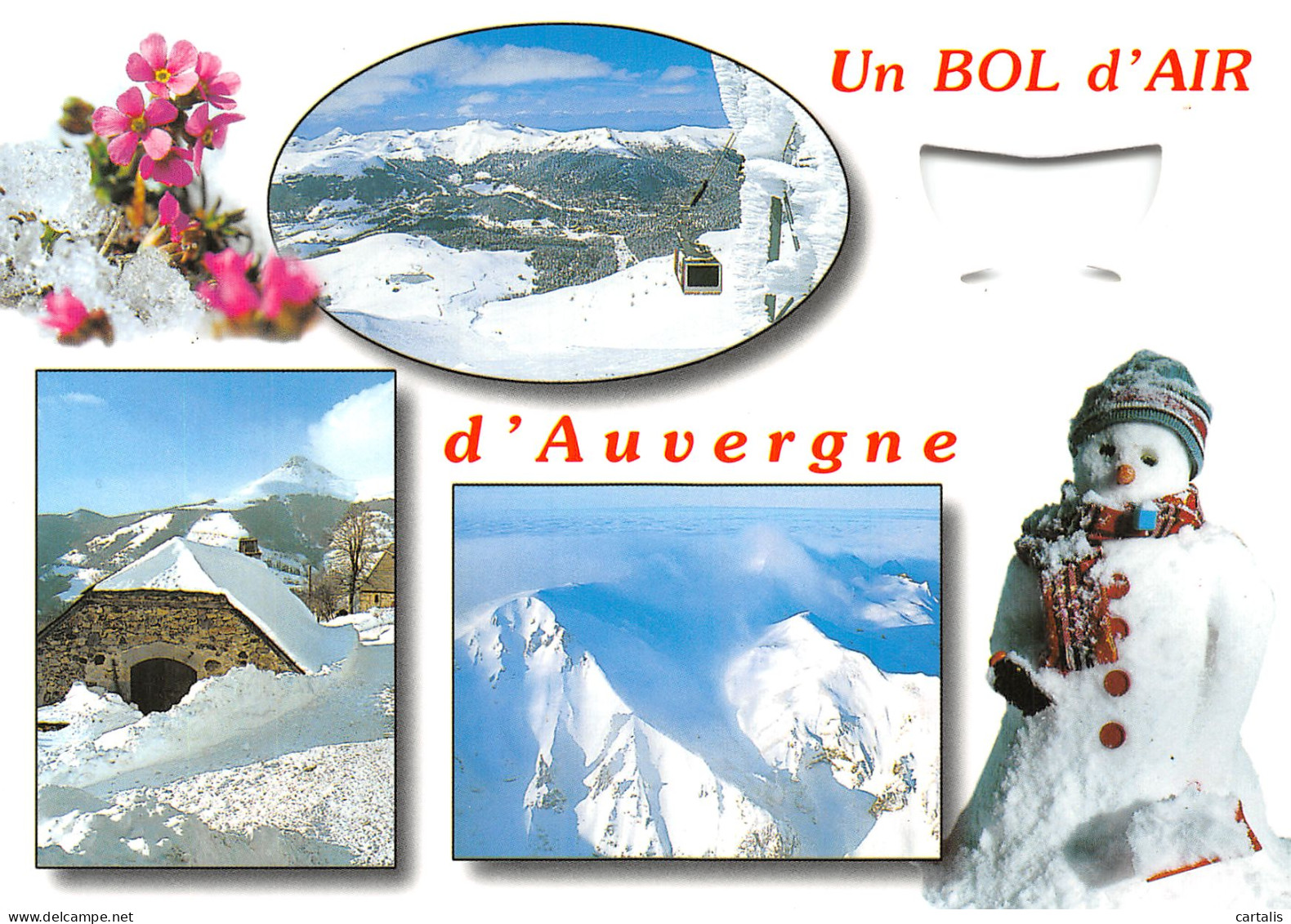 15-AUVERGNE-N°4182-A/0067 - Sonstige & Ohne Zuordnung