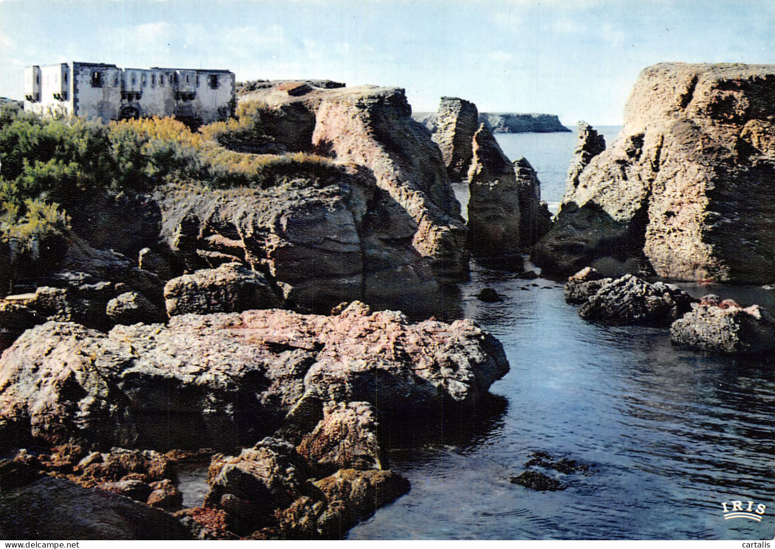 56-BELLE ILE EN MER-N°4181-D/0395 - Belle Ile En Mer