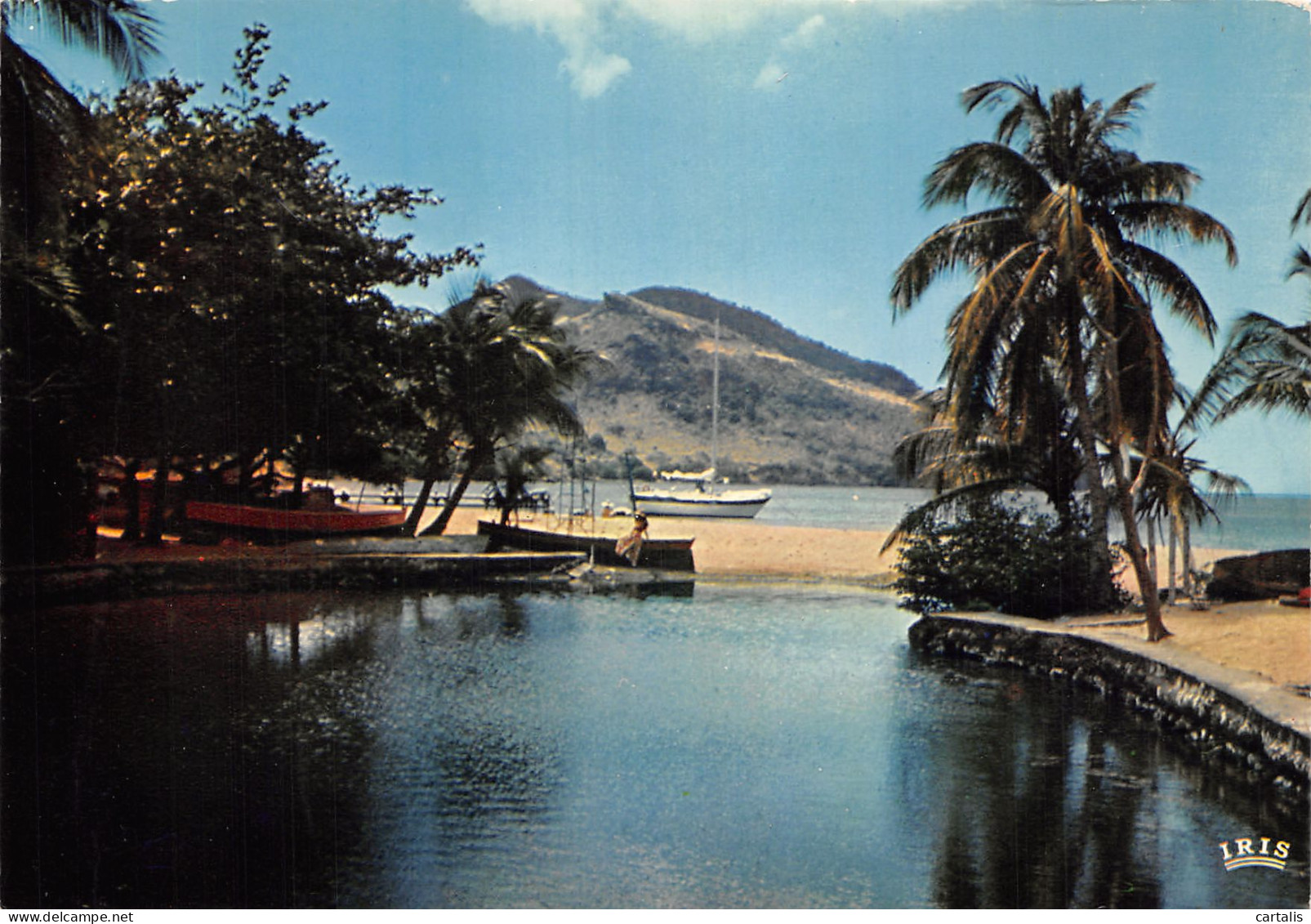 972-MARTINIQUE -N°4181-D/0343 - Other & Unclassified