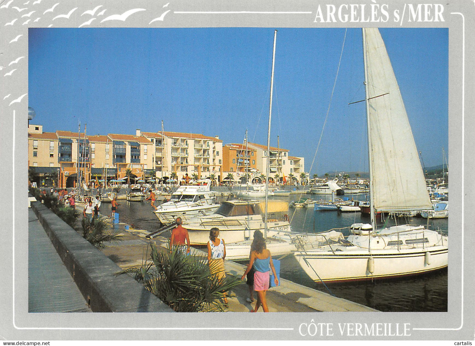 66-ARGELES SUR MER-N°4181-D/0331 - Argeles Sur Mer