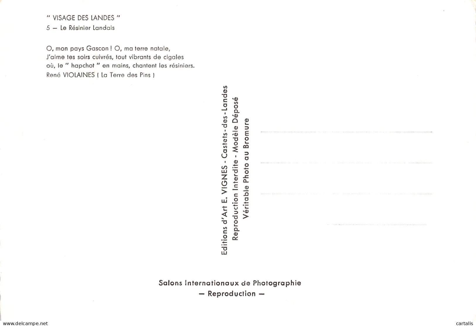 40-LES LANDES-N°4181-C/0305 - Other & Unclassified