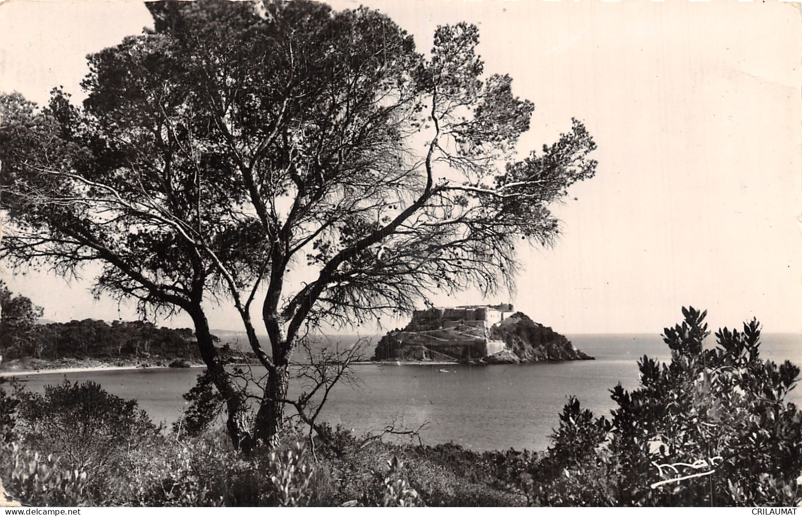 83-LE LAVANDOU-N°LP5130-F/0271 - Le Lavandou