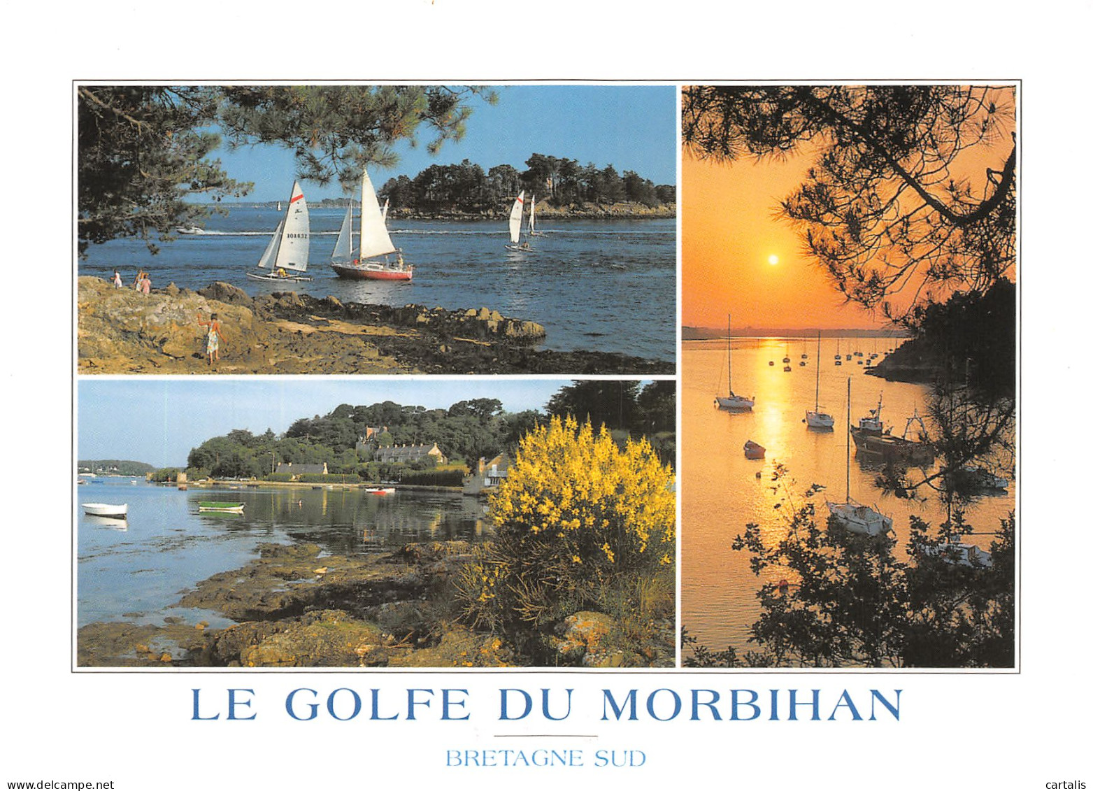 56-LE GOLFE DU MORBIHAN-N°4182-B/0379 - Autres & Non Classés