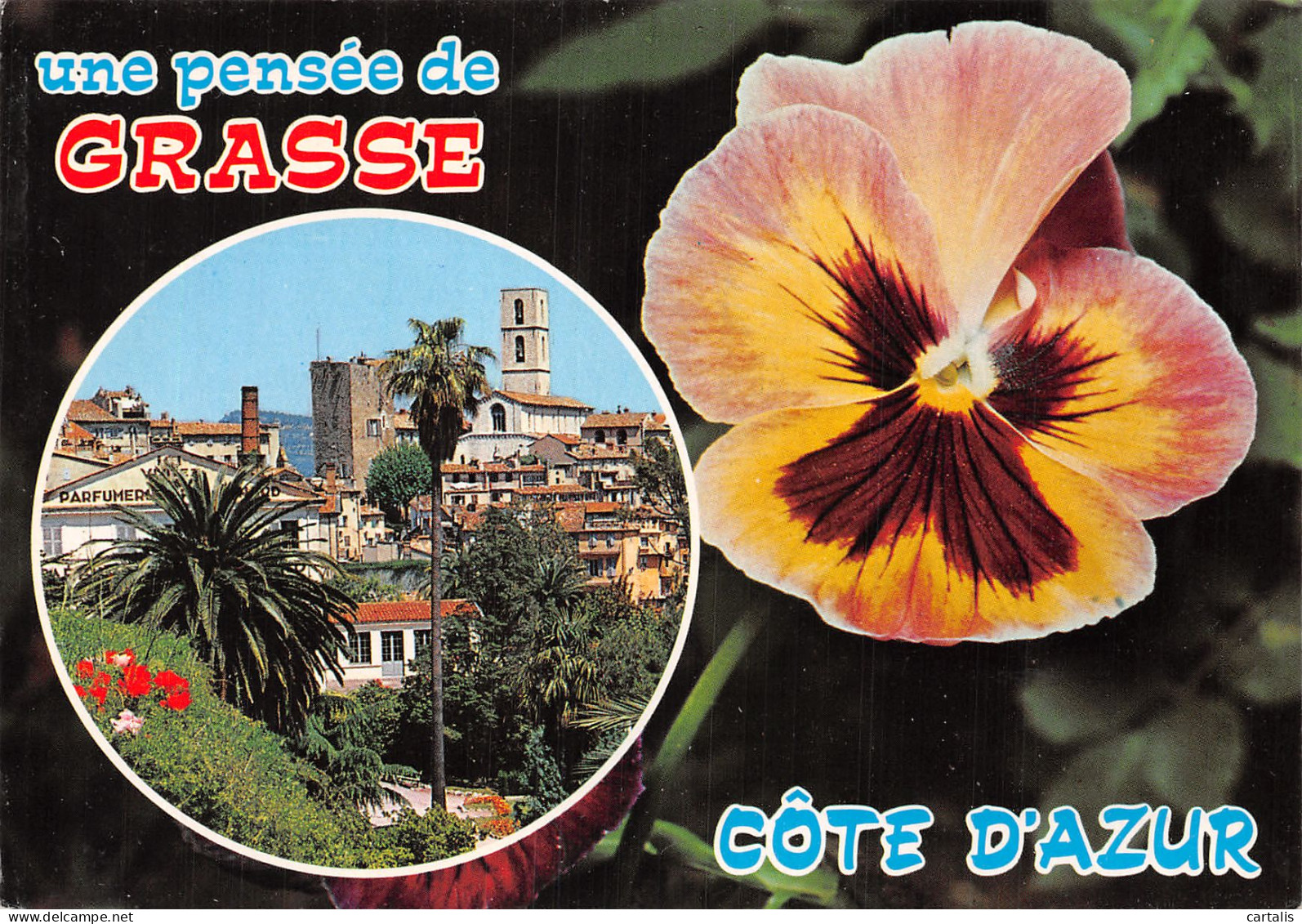 06-GRASSE-N°4182-B/0303 - Grasse