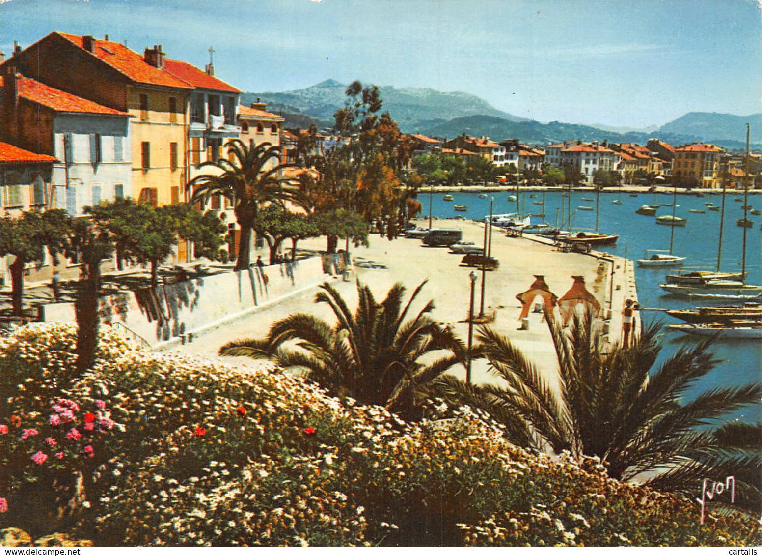 83-SANARY SUR MER-N°4182-B/0243 - Sanary-sur-Mer