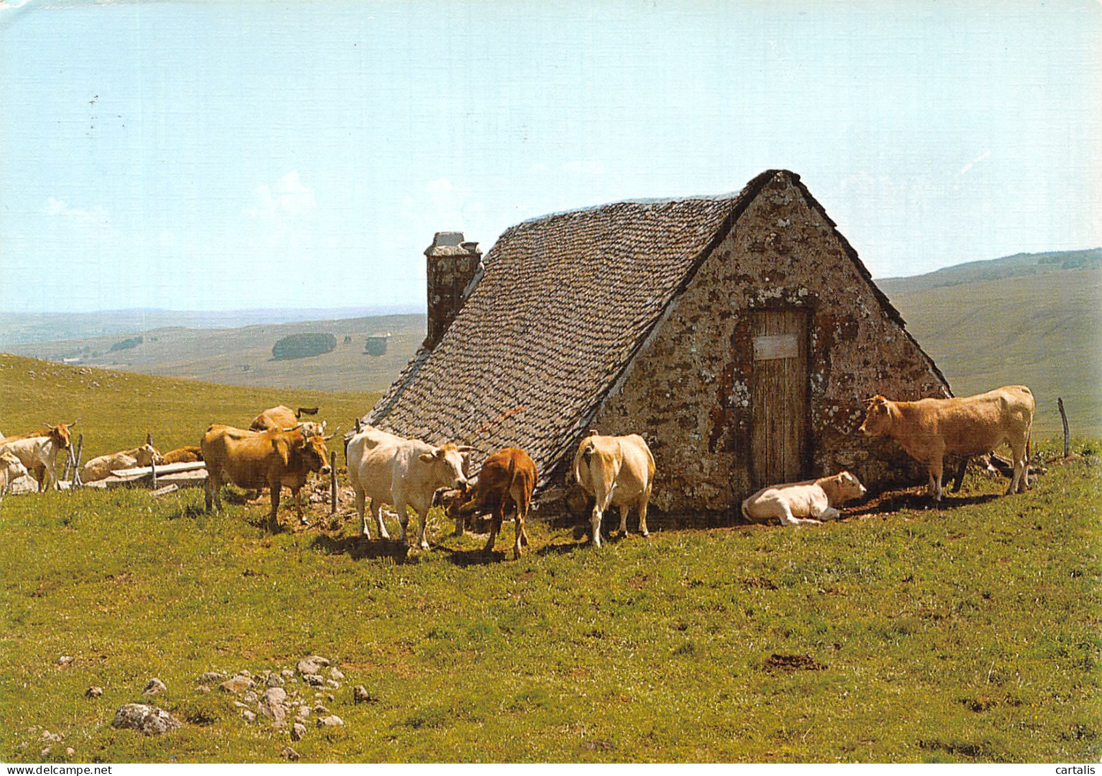 48-LES MONTS D AUBRAC-N°4182-B/0117 - Sonstige & Ohne Zuordnung