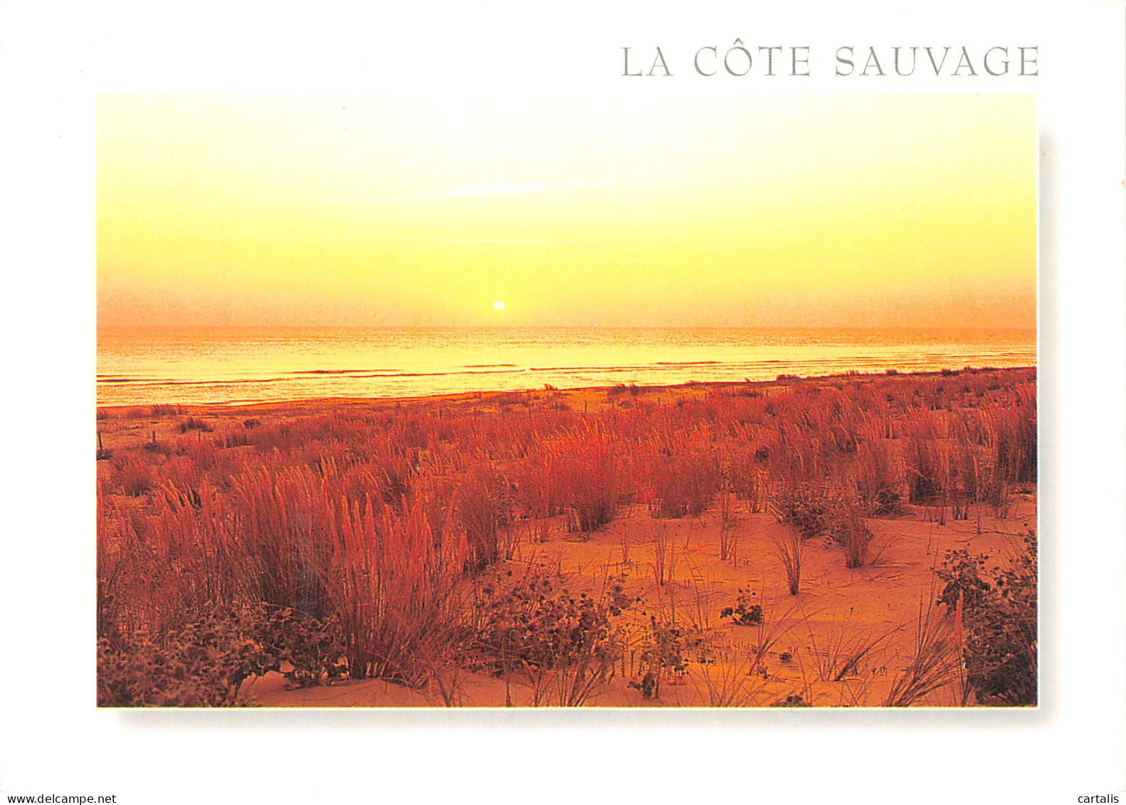 17-LA COTE SAUVAGE-N°4182-A/0383 - Altri & Non Classificati