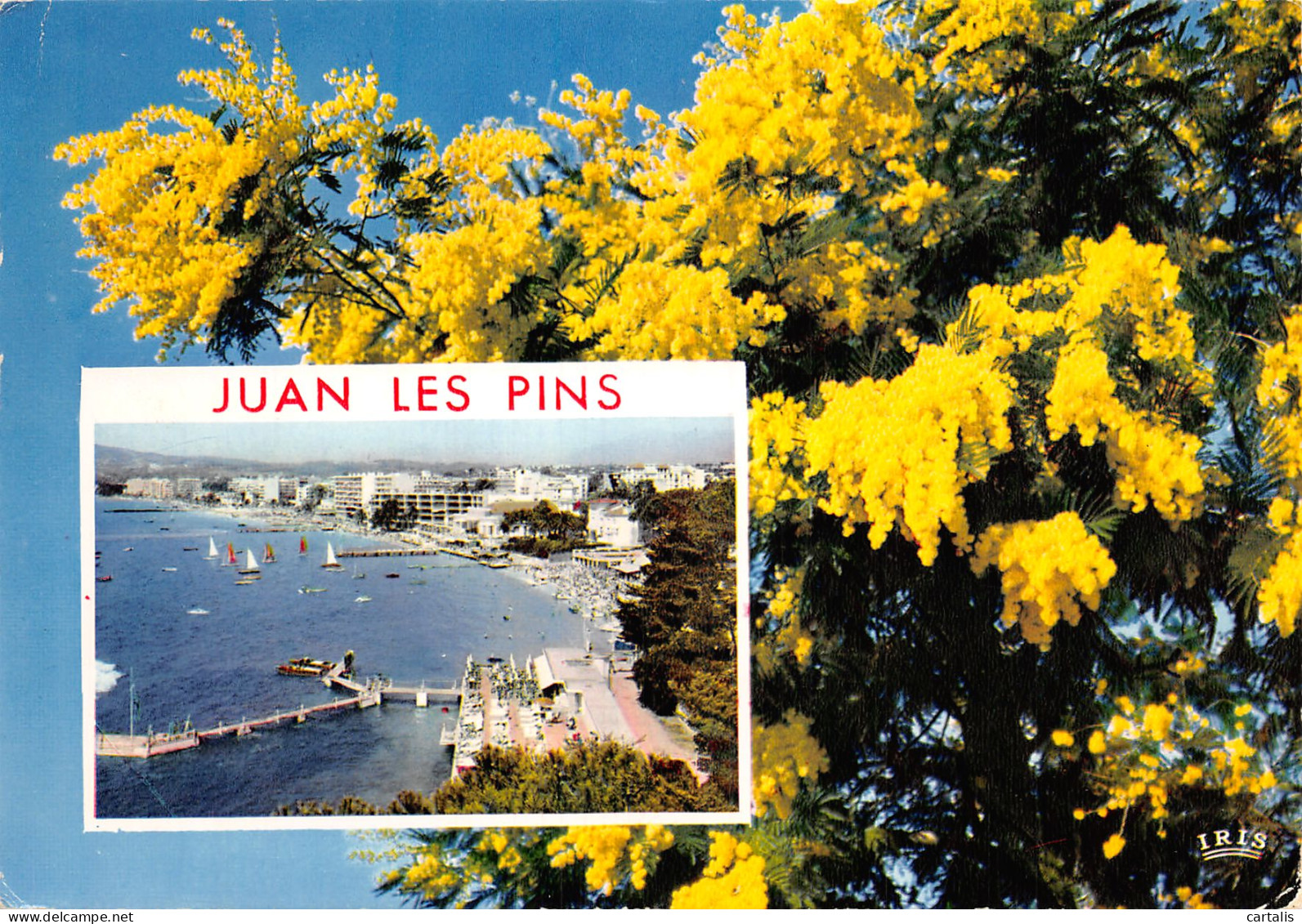 06-JUAN LES PINS-N°4182-A/0337 - Juan-les-Pins