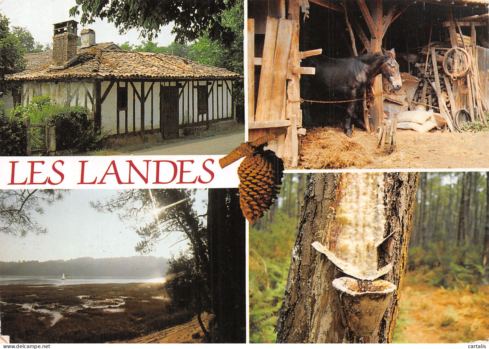 40-LES LANDES-N°4182-A/0309 - Andere & Zonder Classificatie