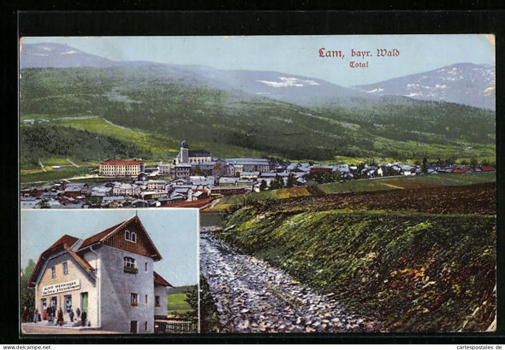 AK Lam /bayr. Wald, Bäckerei Und Kolonialwaren-Handlung Alois Wenninger, Panorama  - Sonstige & Ohne Zuordnung