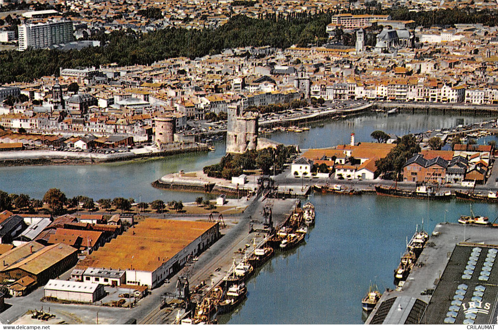 17-LA ROCHELLE-N°LP5131-B/0145 - La Rochelle