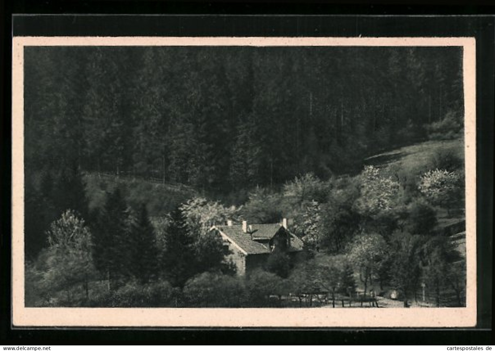 AK Iserlohn Im Sauerland, Blick Auf Das Forsthaus Löhen  - Caccia