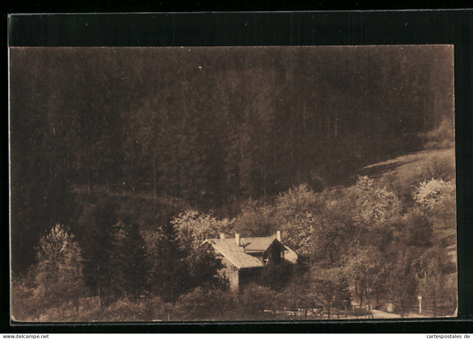 AK Iserlohn Im Sauerland, Waldpartie Am Forsthaus Löhen  - Hunting