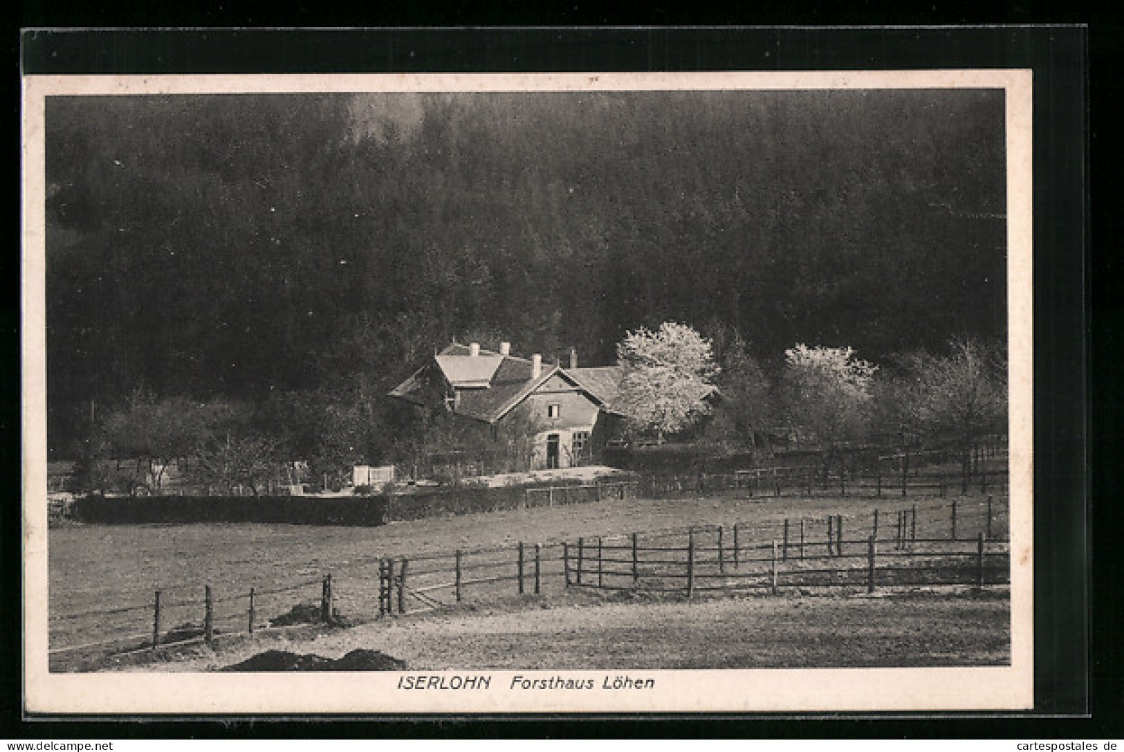 AK Iserlohn Im Sauerland, Blick über Die Wiesen Zum Forsthaus Löhen  - Caccia