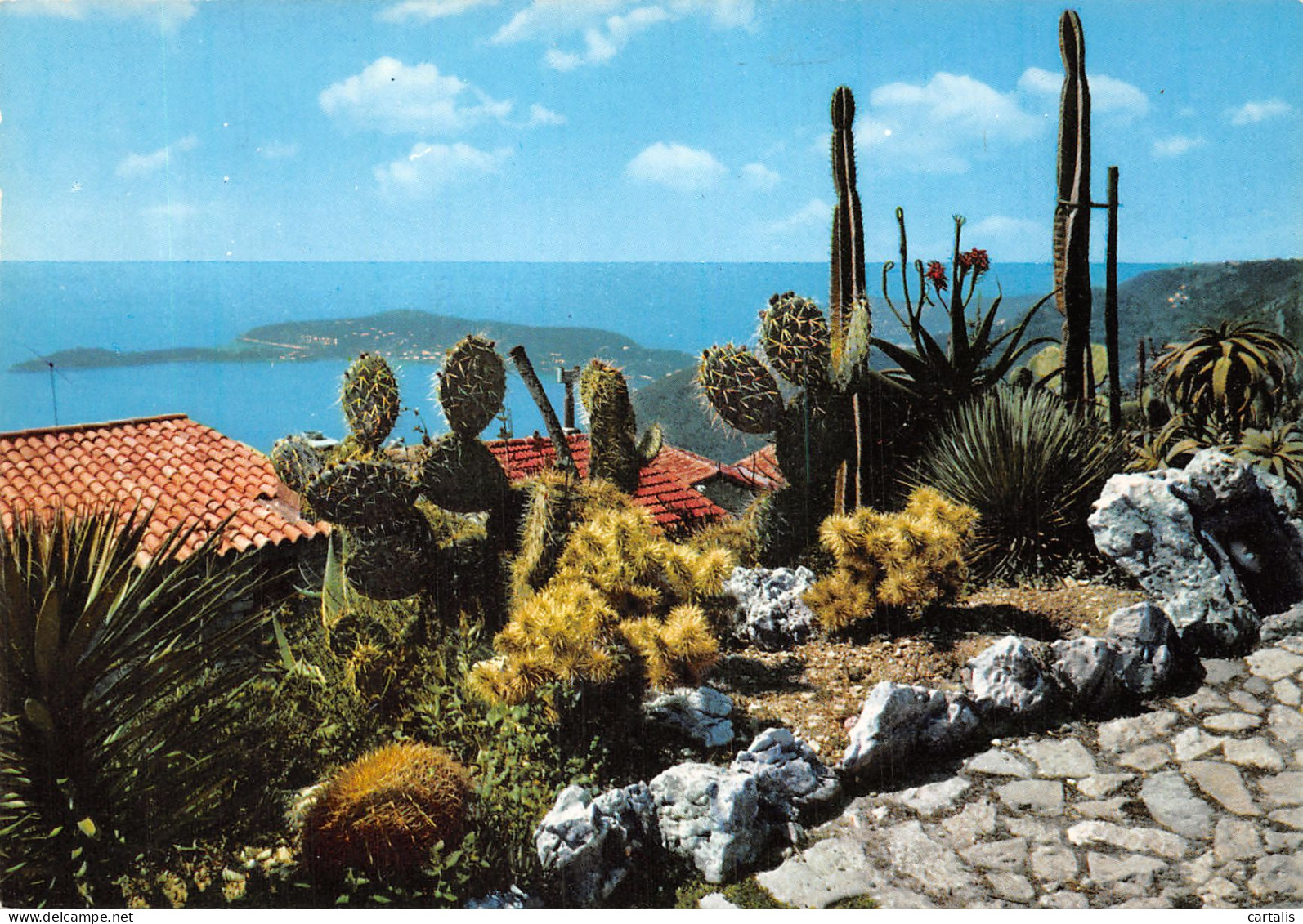 06-EZE VILLAGE-N°4183-A/0315 - Eze