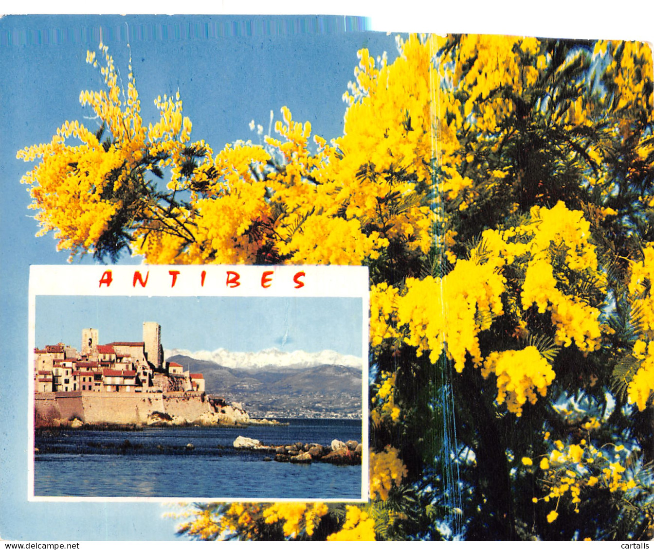 06-ANTIBES-N°4183-A/0273 - Other & Unclassified