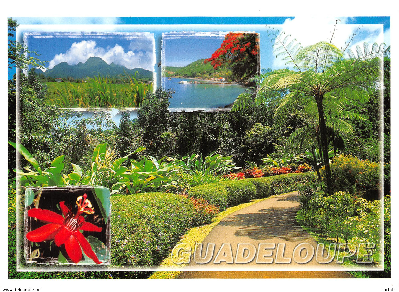 971-GUADELOUPE DOMAINE DE VALOMBREUSE-N°4183-A/0179 - Other & Unclassified