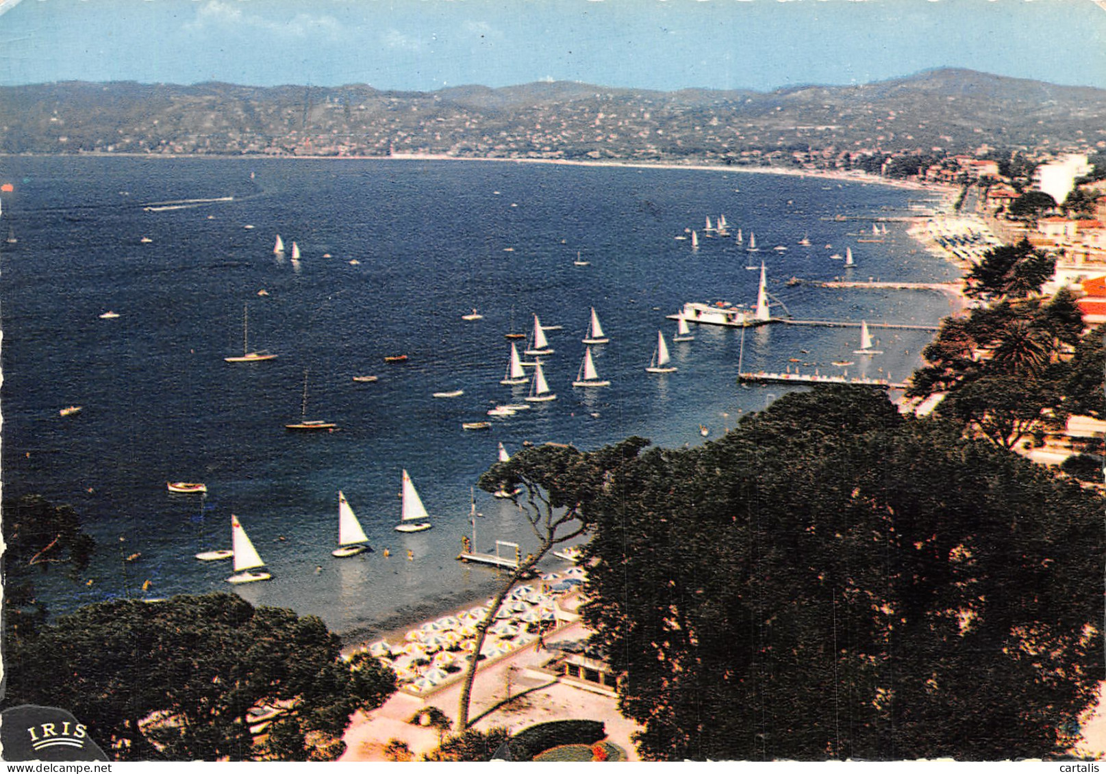 06-JUAN LES PINS-N°4182-D/0117 - Juan-les-Pins