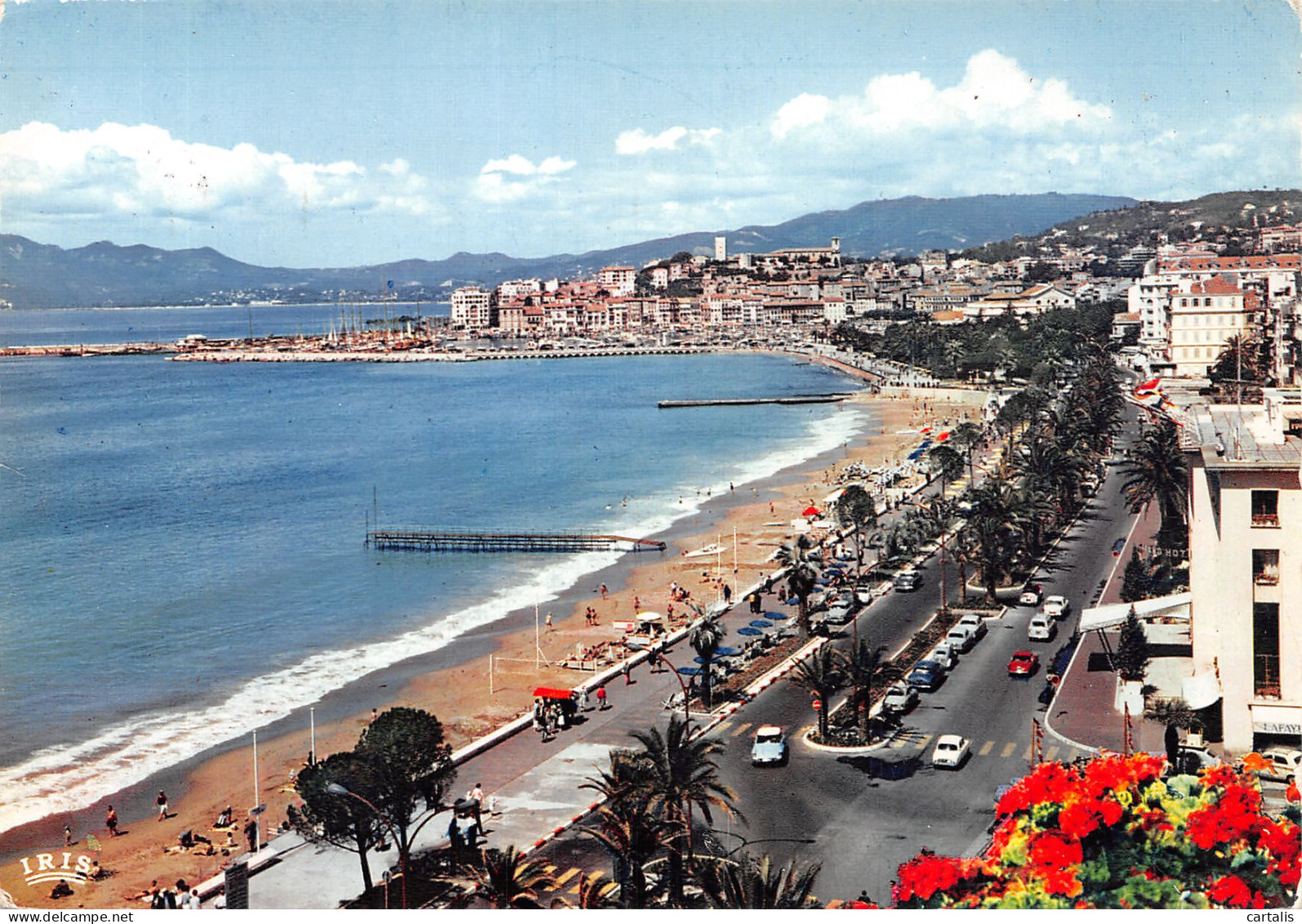 06-CANNES-N°4182-D/0115 - Cannes