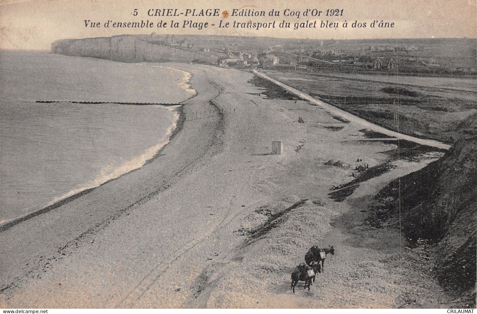 76-CRIEL PLAGE-N°LP5131-C/0219 - Criel Sur Mer