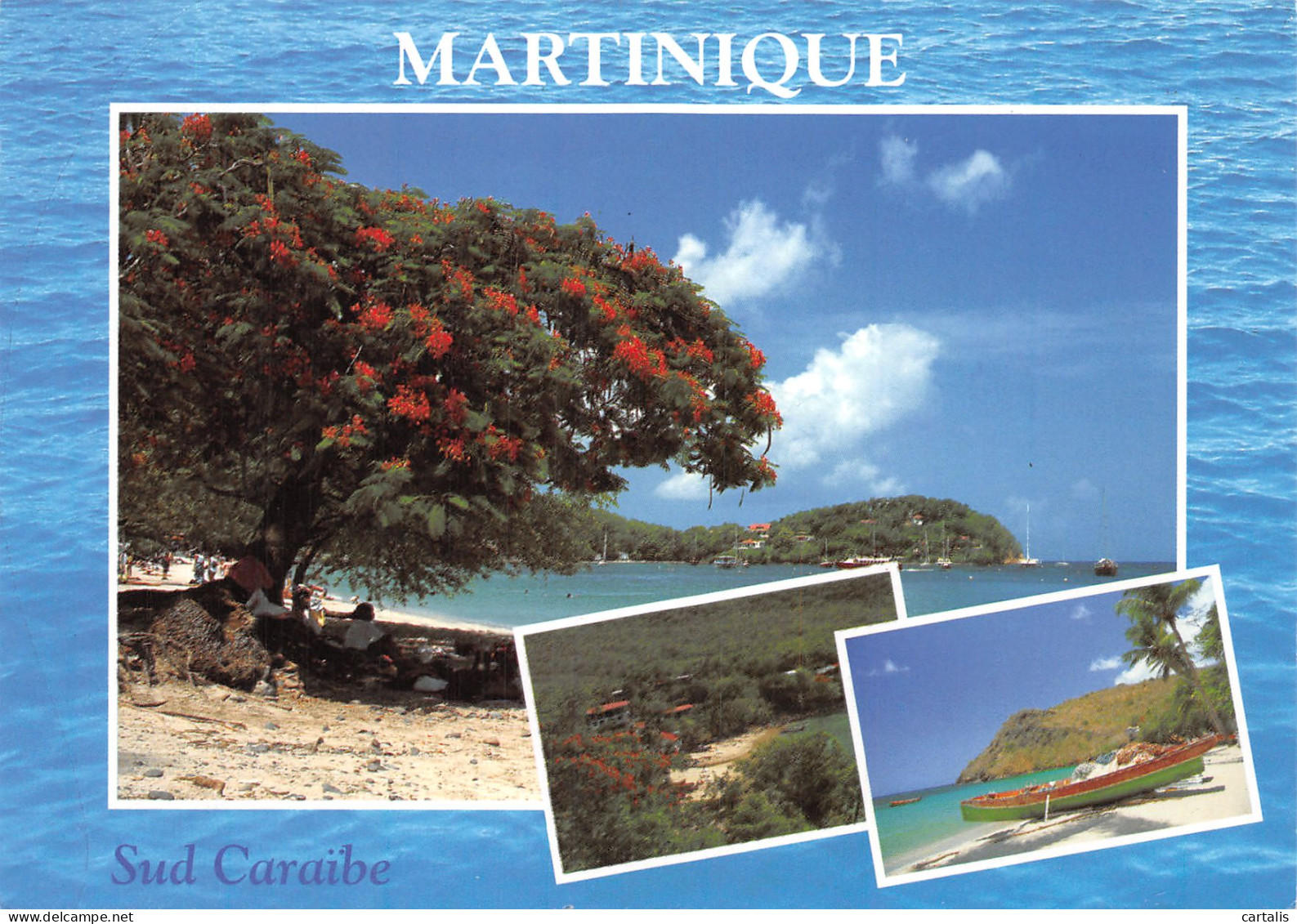 972-MARTINIQUE PETITE ANSE D ARLET-N°4183-D/0015 - Sonstige & Ohne Zuordnung