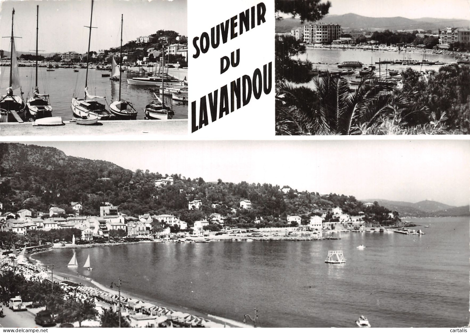 83-LE LAVANDOU-N°4183-C/0215 - Le Lavandou