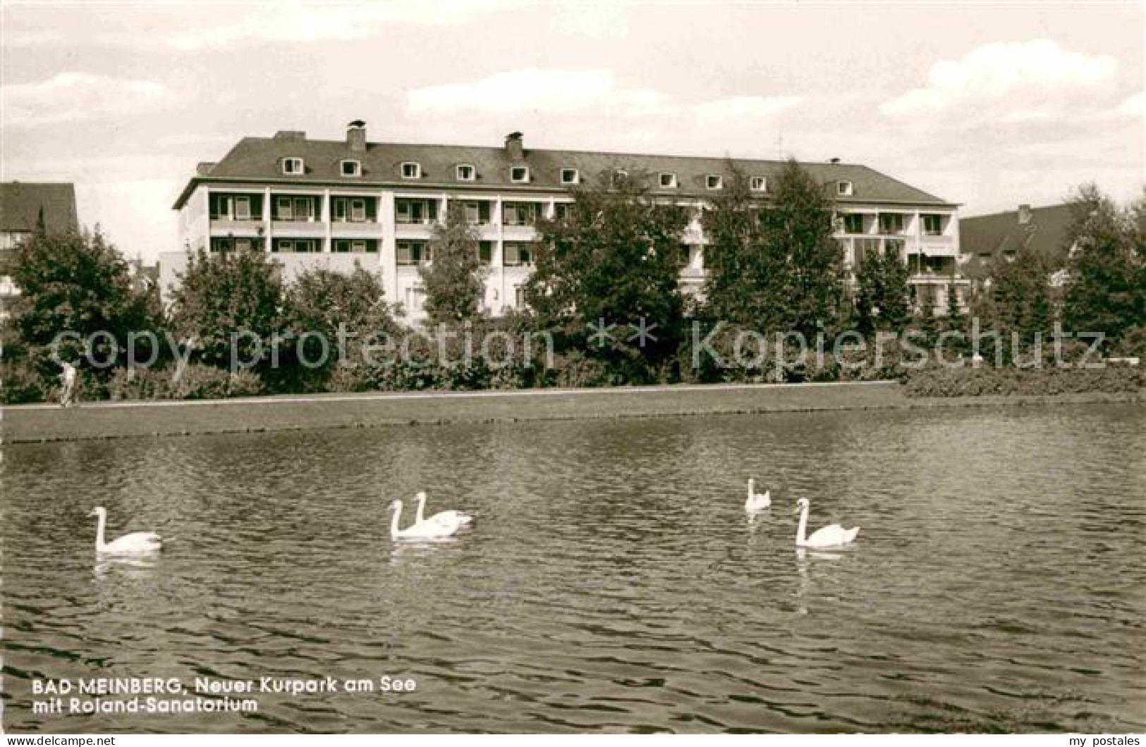 72794617 Bad Meinberg Kurpark Roland Sanatorium Schwaene Bad Meinberg - Bad Meinberg