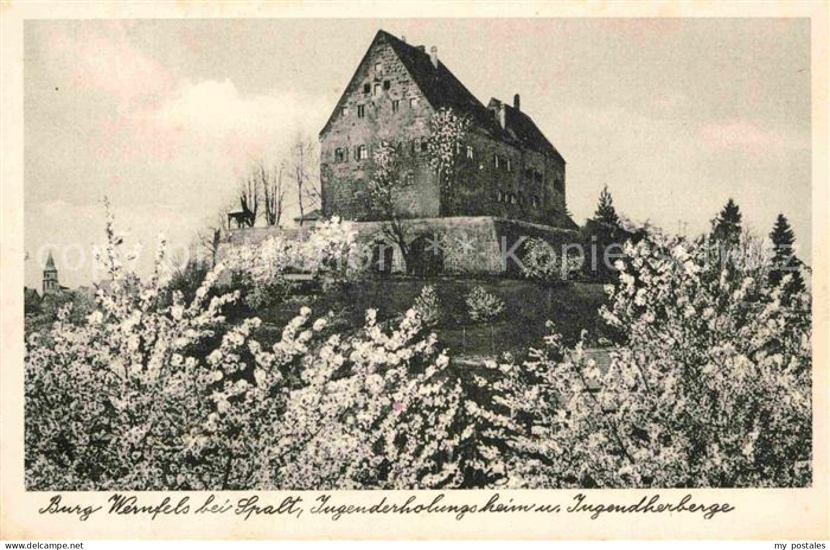 72794614 Spalt Burg Wernfels Jugenderholungsheim  Spalt - Otros & Sin Clasificación