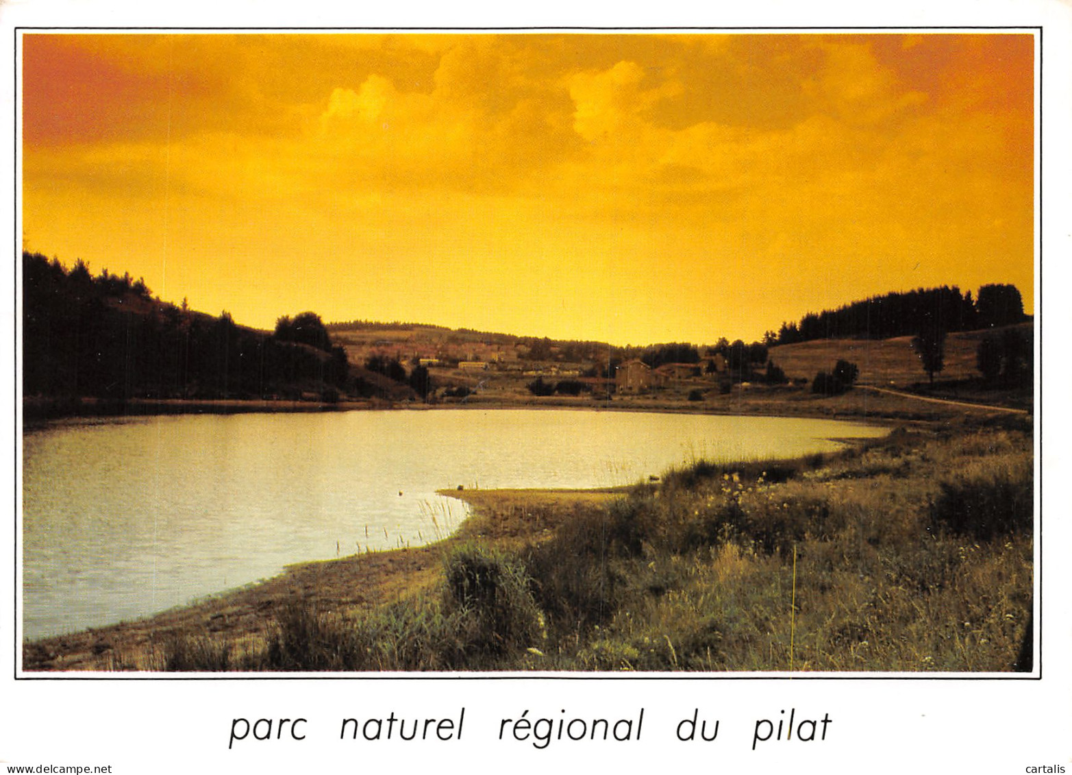 42-PARC REGIONAL DU PILAT-N°4184-B/0367 - Other & Unclassified