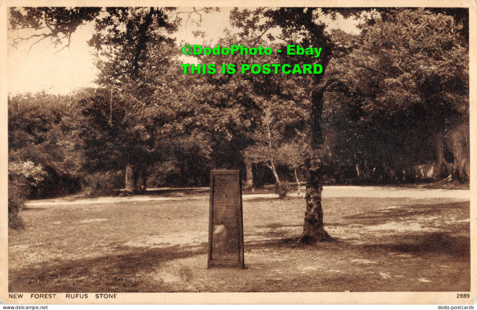 R355396 New Forest. Rufus Stone. Photochrom. 1935 - World
