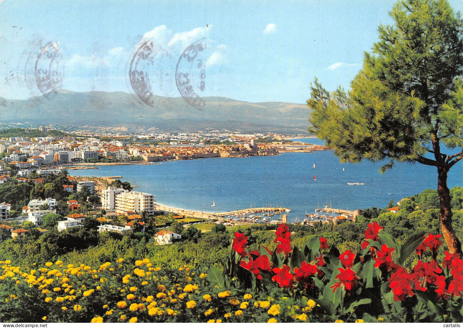 06-ANTIBES-N°4184-B/0213 - Other & Unclassified