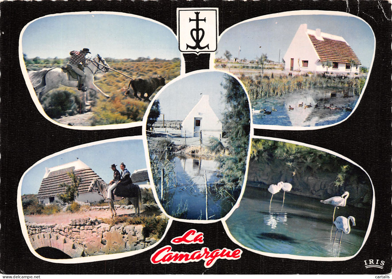 13-LA CAMARGUE-N°4184-B/0115 - Andere & Zonder Classificatie