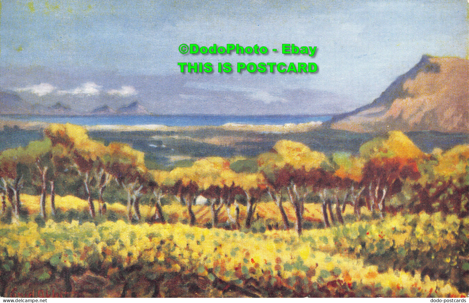 R355411 False Bay From Groot Constantia. Hortors. Postcard - World